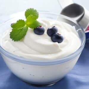 Top 10 Nutrient-Rich Foods: Fuel Your Body With Health And Vitality Greek Yogurt