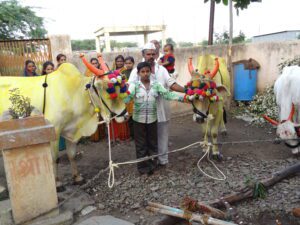 Pola: ग्रामीण भारताचा आनंदी उत्सव,पोळा