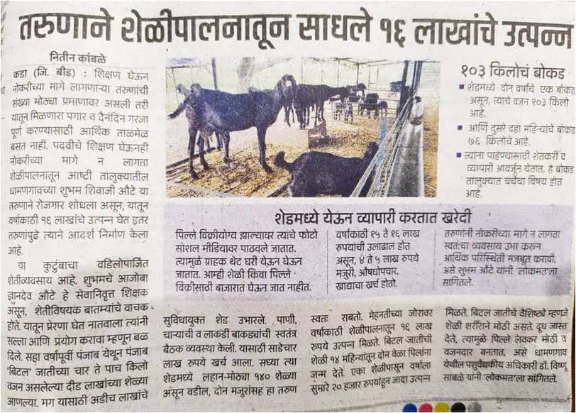 Goat Farming: A Big Opportunity In Rural Areas शेळीपालन