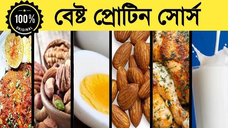 কোন খাবারে কত প্রোটিন তালিকা 1 কোন খাবারে কত প্রোটিন তালিকা