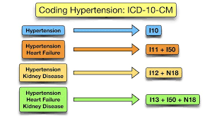 icd 10 cm code for hypertension due to primary malignant neoplasm of brain