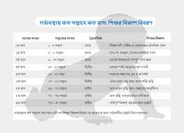 গর্ভাবস্থায় কত সপ্তাহে কত মাস